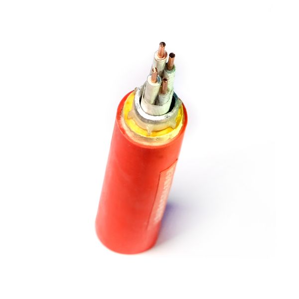 Bevictor伟德官网-韦德(中国)体育-伟大始于1946