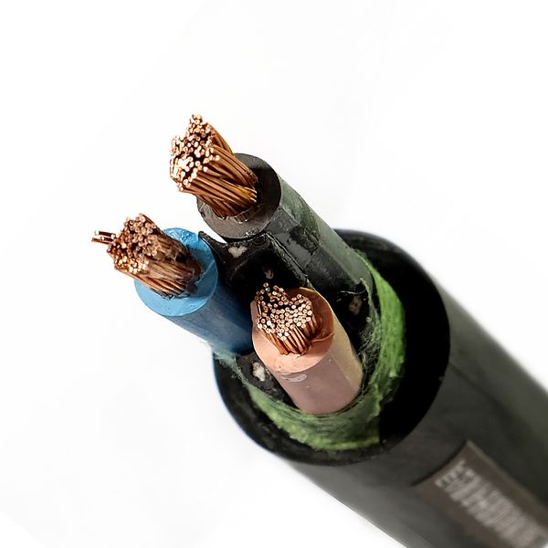 Bevictor伟德官网-韦德(中国)体育-伟大始于1946